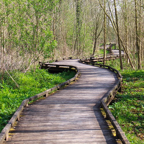 Domaine de Bellenville