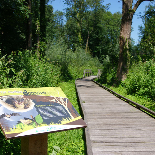 Chemins & randonnées