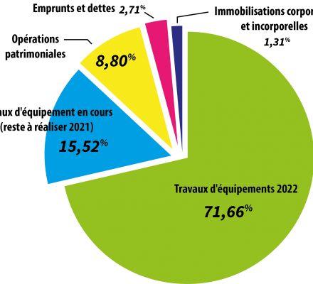 Investissement Dépenses@75x 100